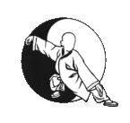 Shen Long Tai Chi Association